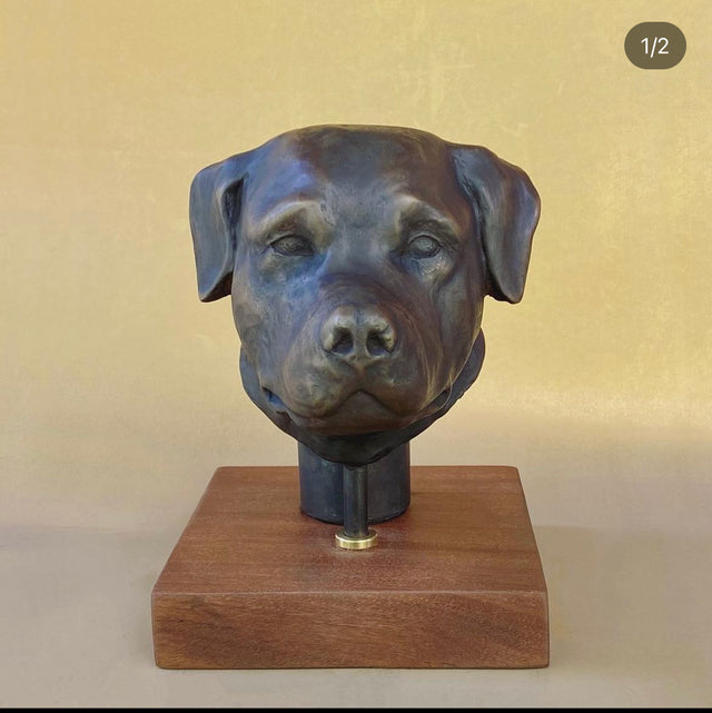 Pet Sculpture Portrait in Clay Workshop
