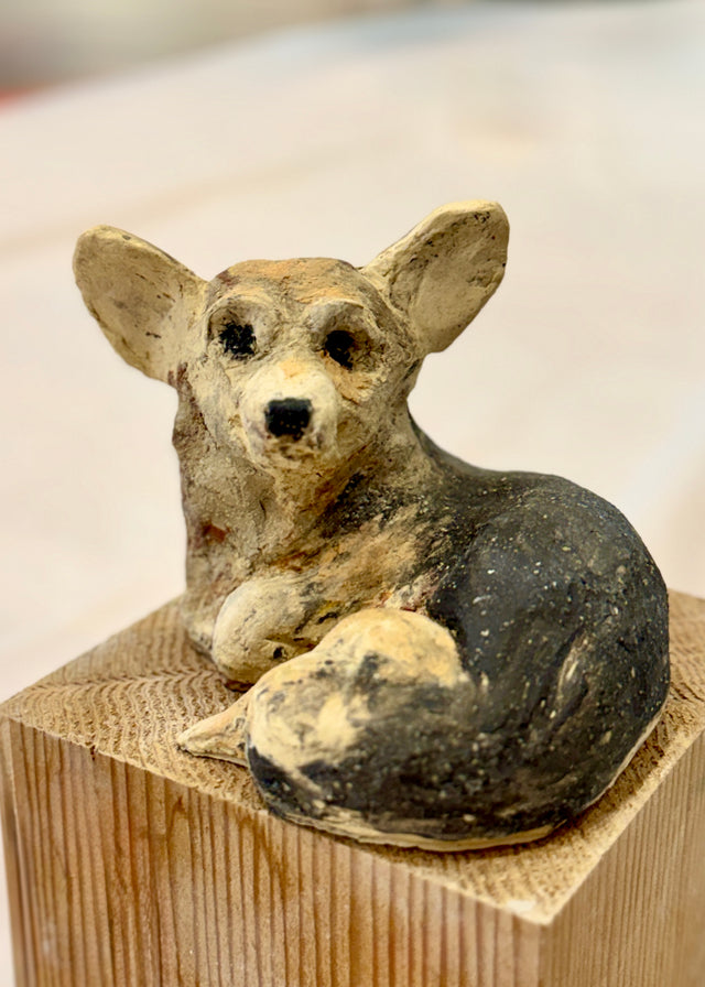 Pet Sculpture Portrait in Clay Workshop
