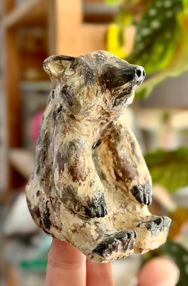Pet Sculpture Portrait in Clay Workshop