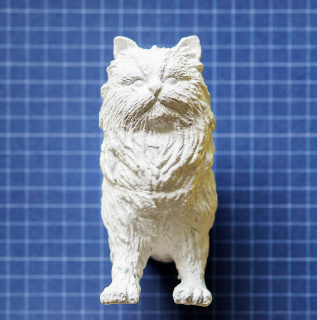 Pet Sculpture Portrait in Clay Workshop