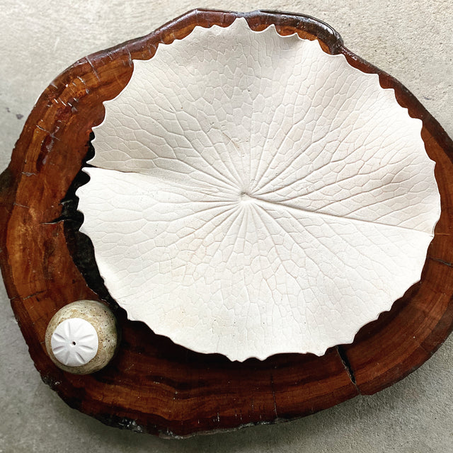 Ceramic Workshop: Make A Luscious Leaf Platter