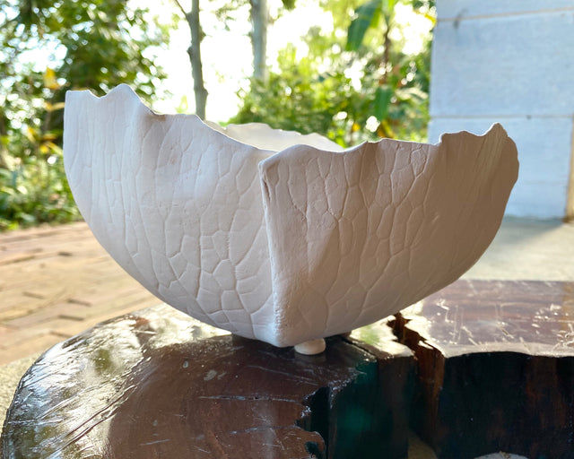 Ceramic Porcelain Paper clay fruit bowl