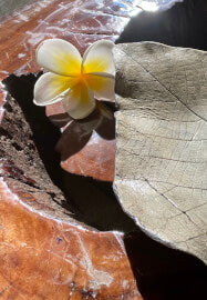 Kids' Clay Camp – Summer Sculpture and Ceramics Course