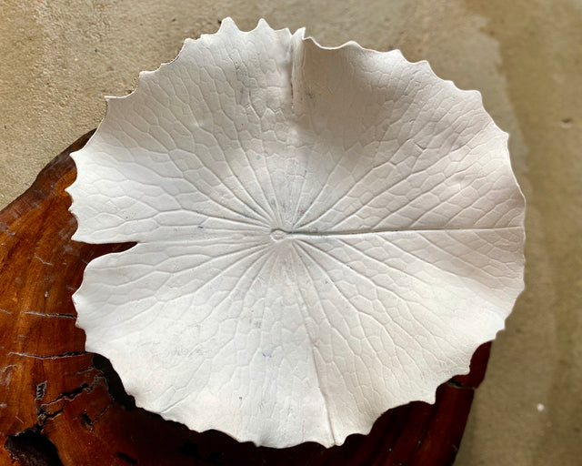 Ceramic Workshop: Make A Luscious Leaf Platter