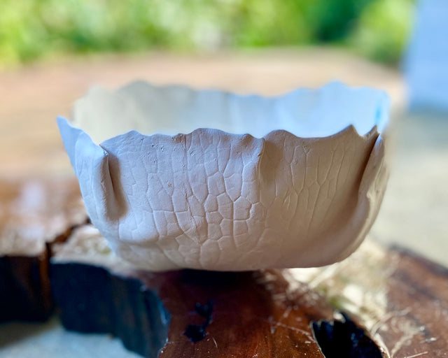 Ceramic Porcelain Paper clay fruit bowl