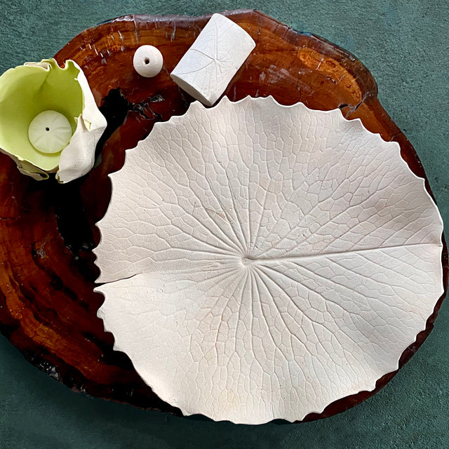 Ceramic Workshop: Make A Luscious Leaf Platter